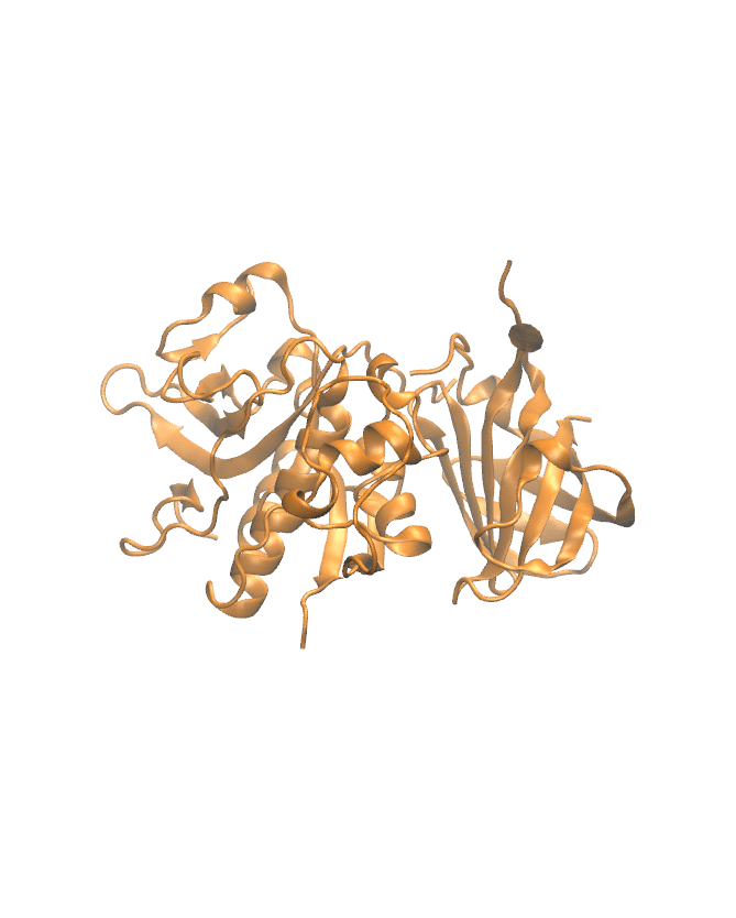 Protein Backbone Structure