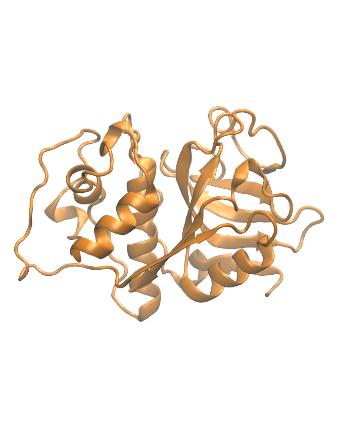 Protein Backbone Structure