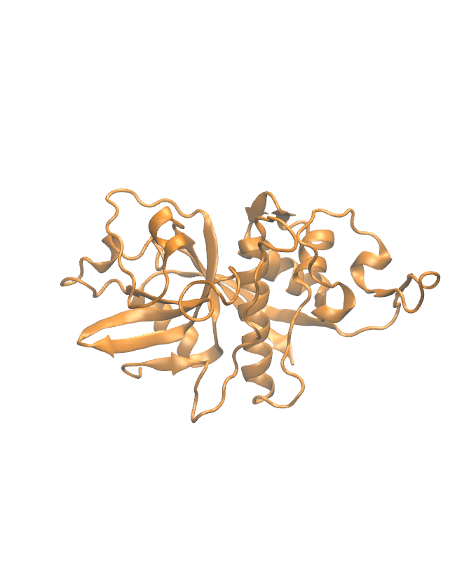 Protein Backbone Structure