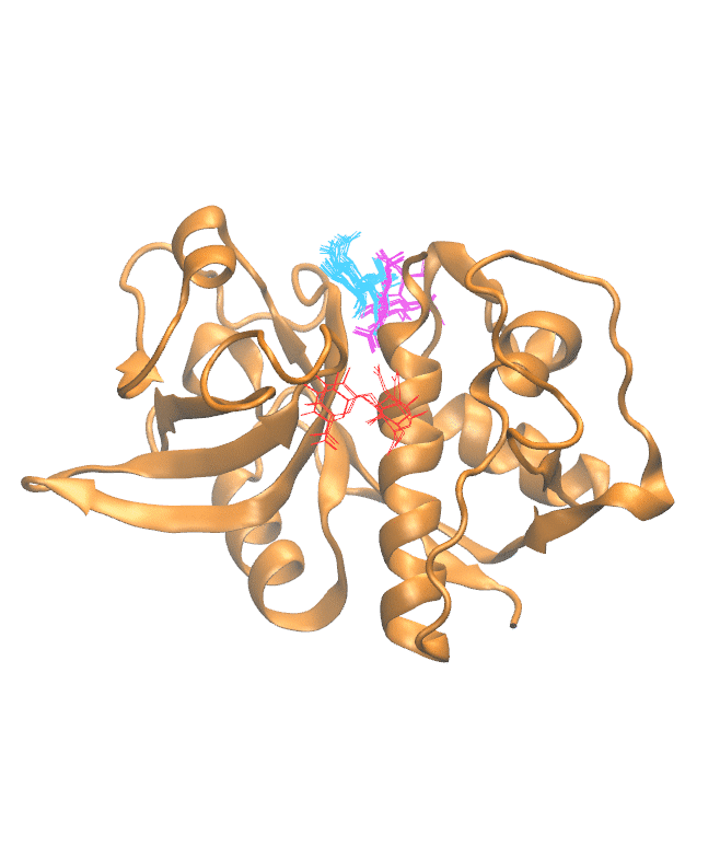 Clustering Results for CATH302
