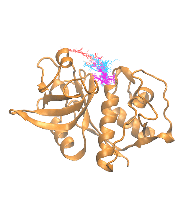 Clustering Results for CATH304