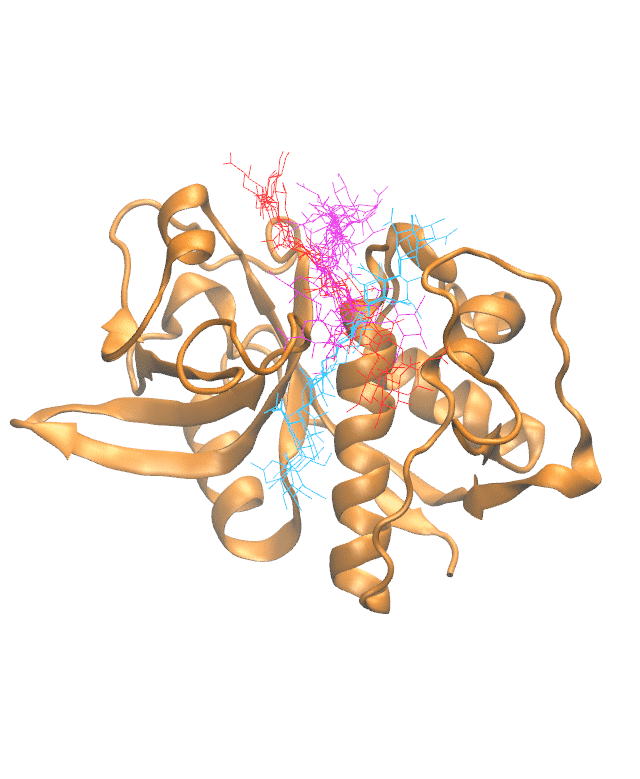 Clustering Results for CATH306