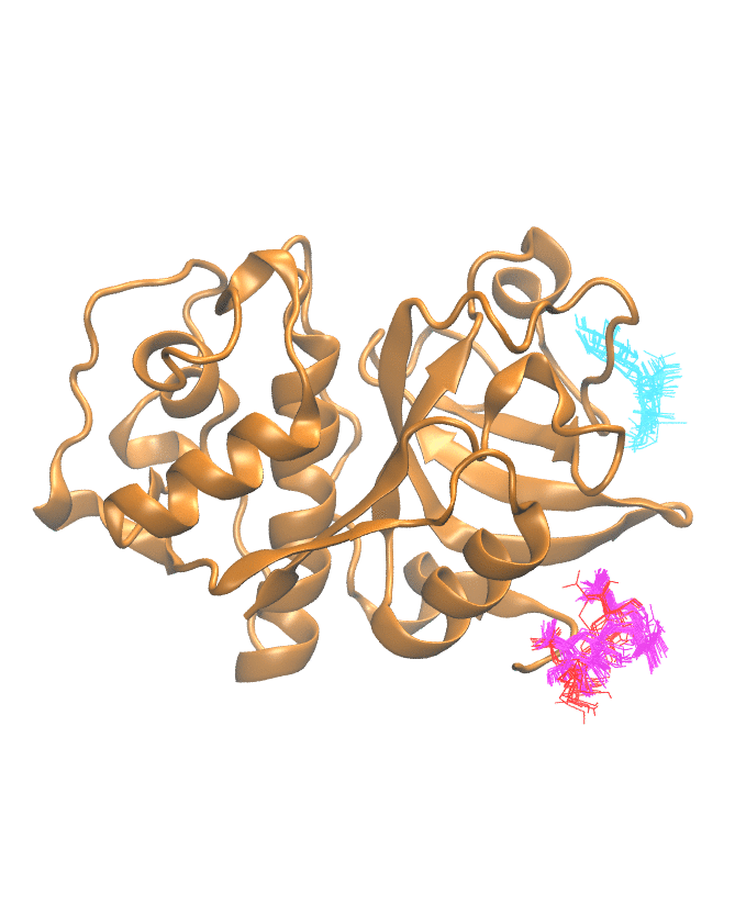 Clustering Results for CATK002
