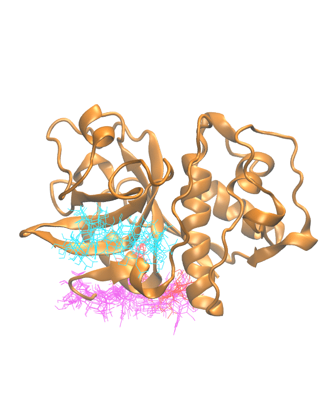 Clustering Results for CATK004
