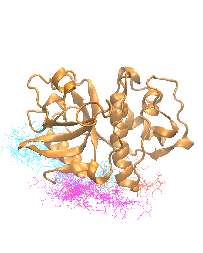 Clustering Results for CATK006