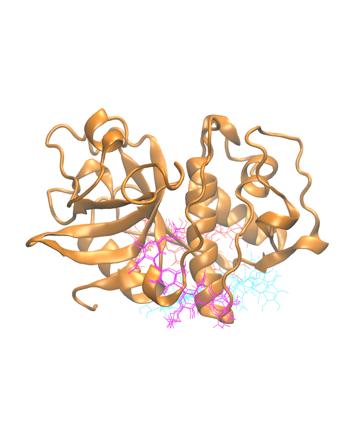 Clustering Results for CATK104