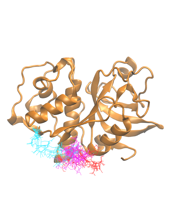 Clustering Results for CATK204