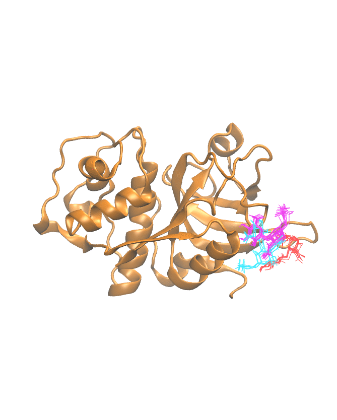 Clustering Results for CATL102