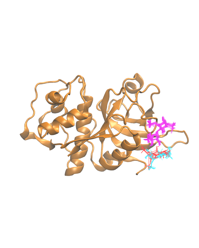 Clustering Results for CATL402