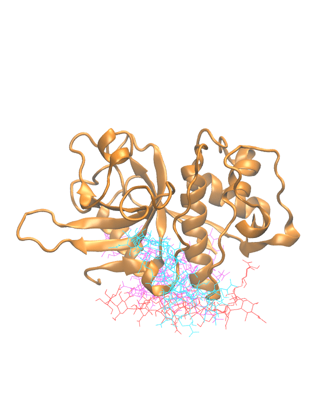 Clustering Results for CATL506