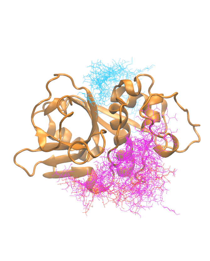 Clustering Results for CATO006