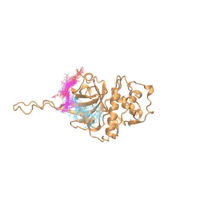 Clustering Results for CATW104