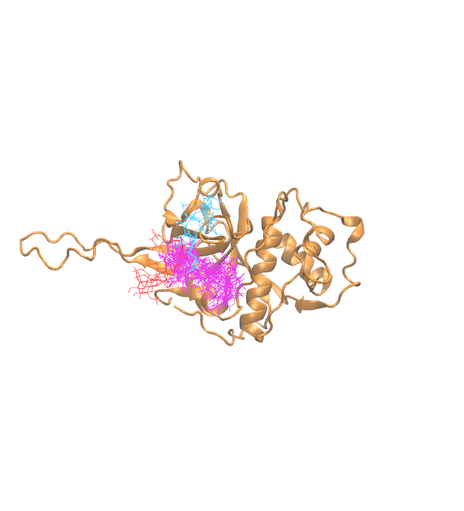 Clustering Results for CATW204