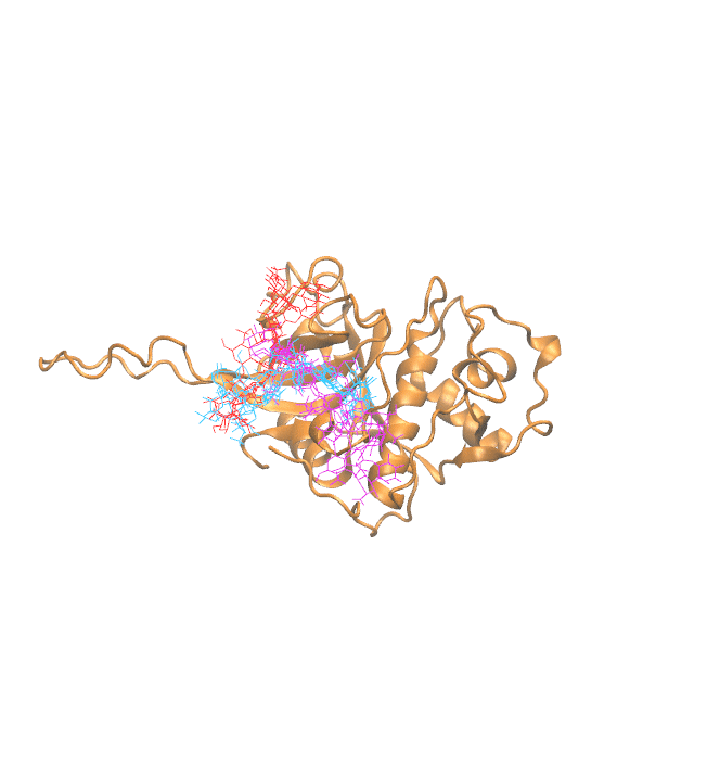 Clustering Results for CATW206
