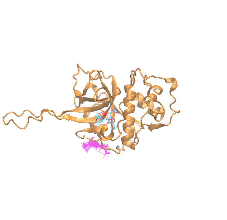 Clustering Results for CATW402