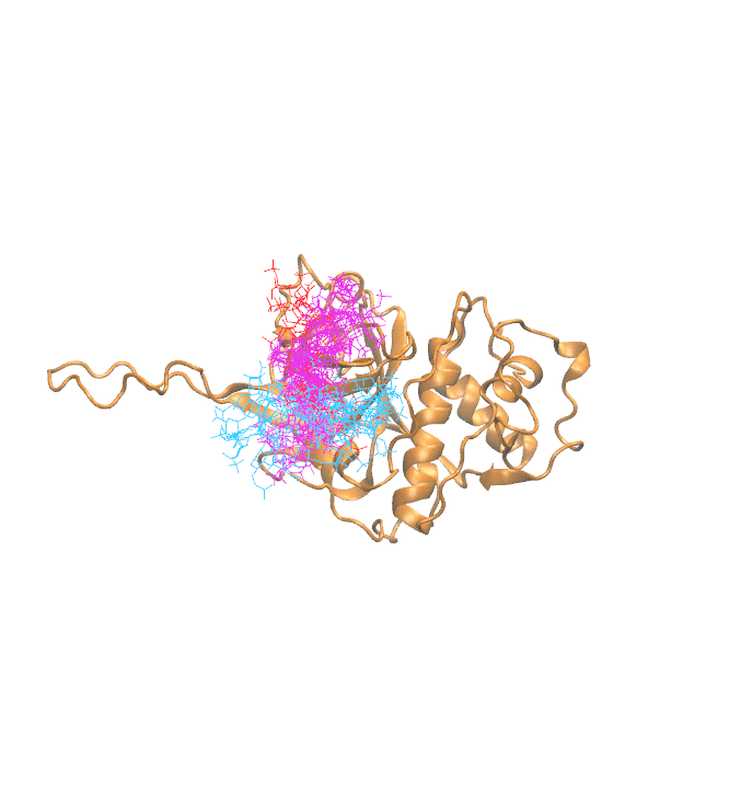 Clustering Results for CATW406