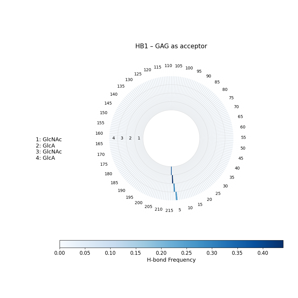 H-Bonds GAG as Donor Plot