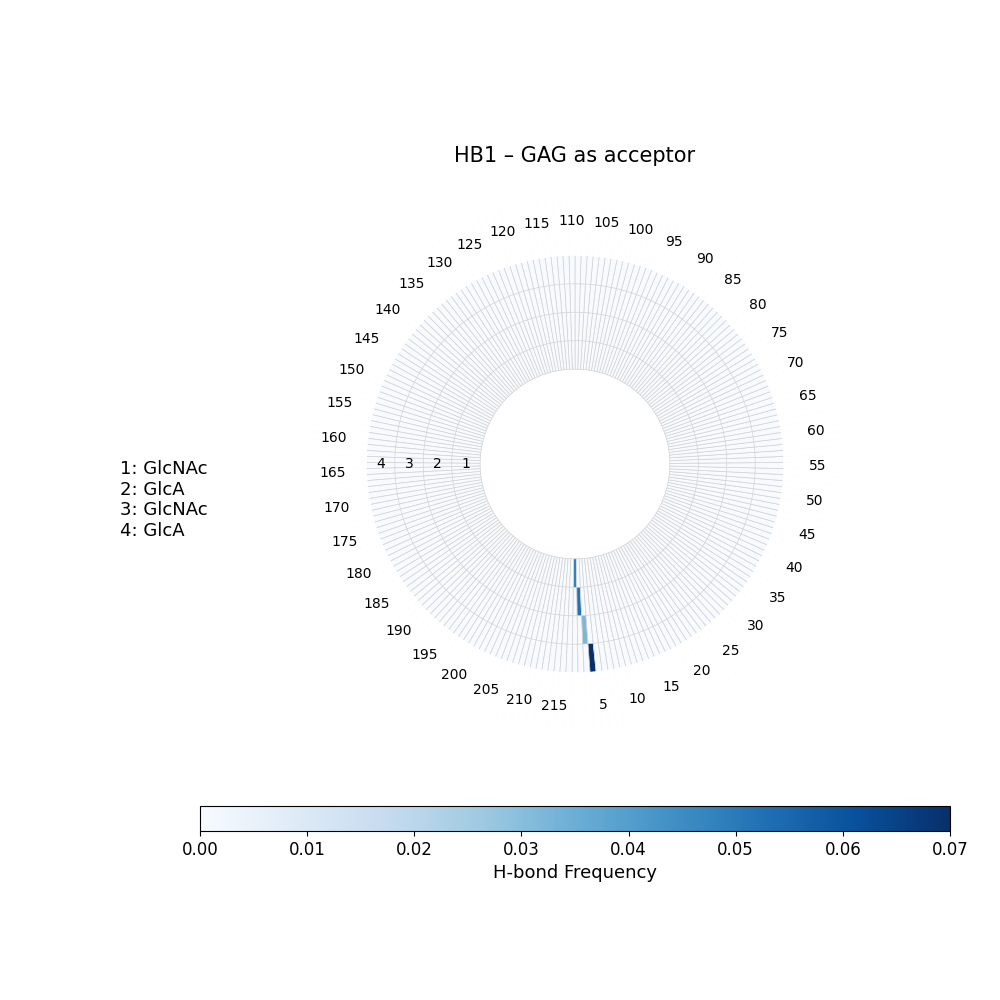 H-Bonds GAG as Donor Plot