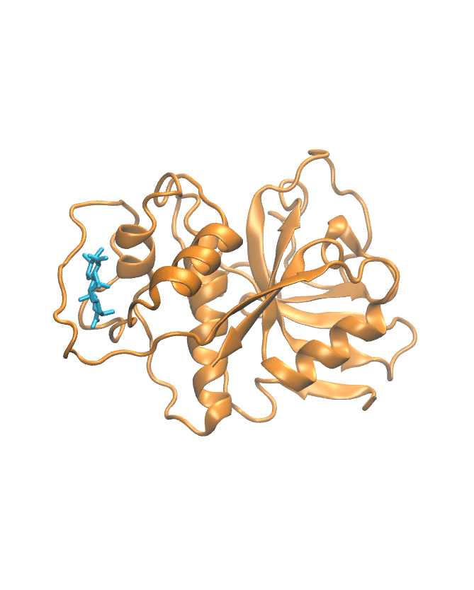 MD Trajectory simulation