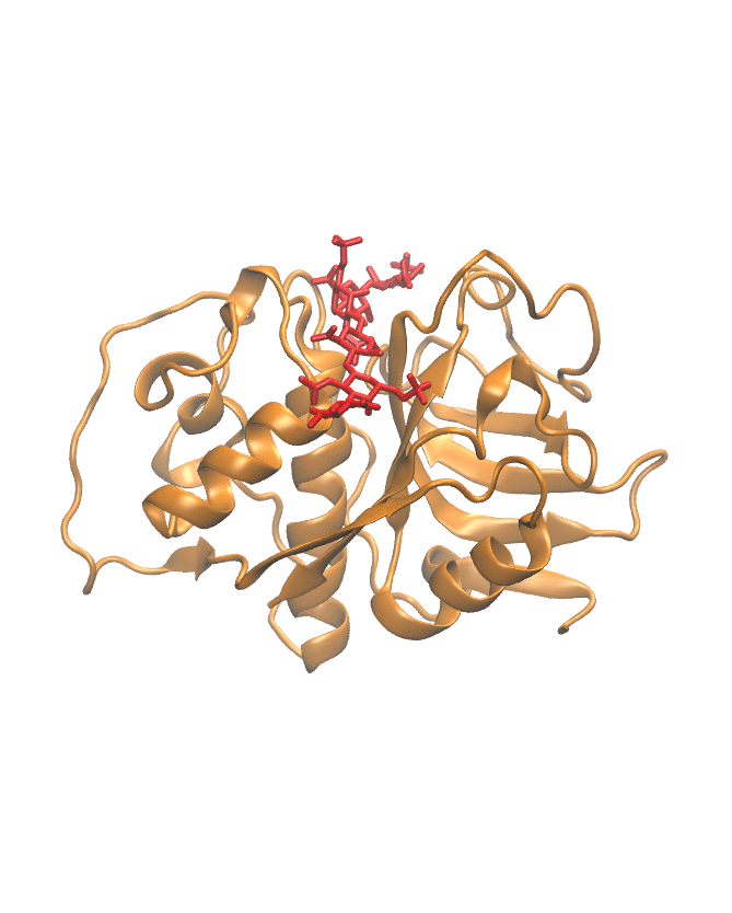 MD Trajectory simulation