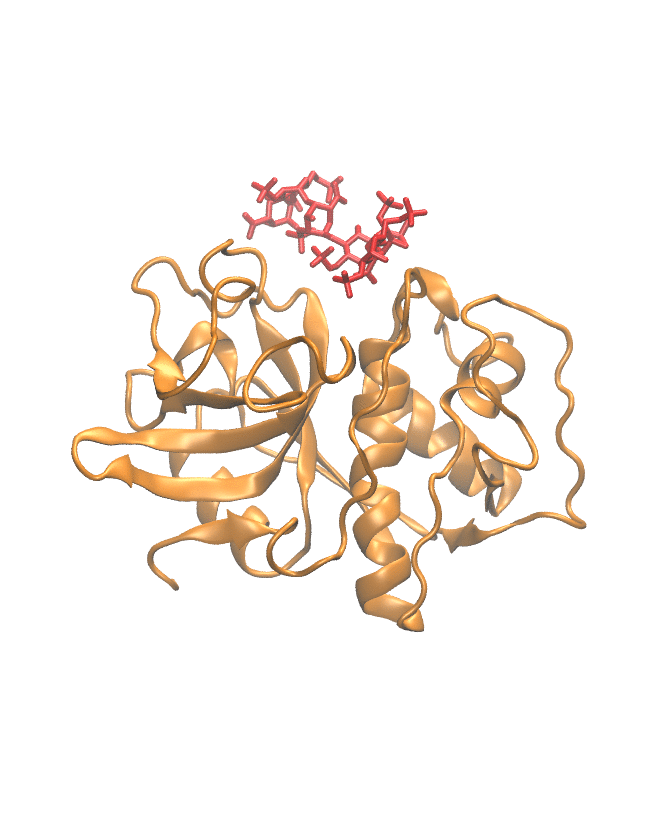 MD Trajectory simulation