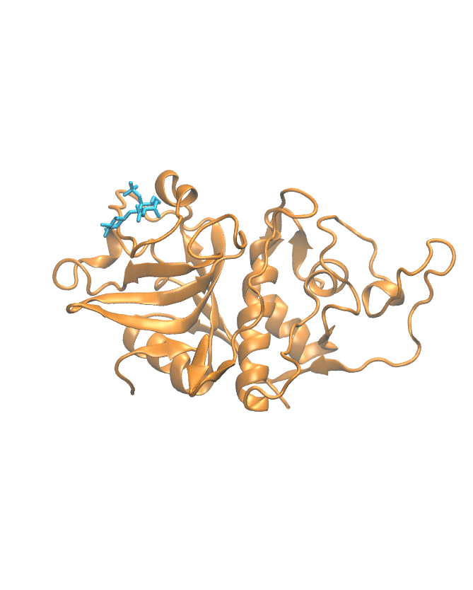 MD Trajectory simulation