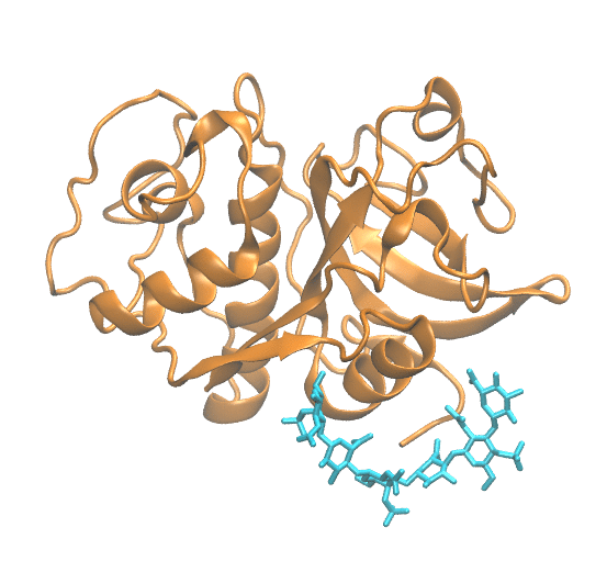 Computational structural biology model